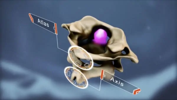 anatomie du dos espace francilien du rachis clinique du rachis versailles paris 6