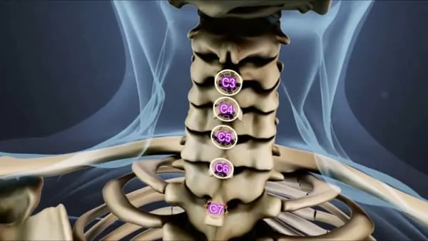 anatomie du dos espace francilien du rachis clinique du rachis versailles paris 7