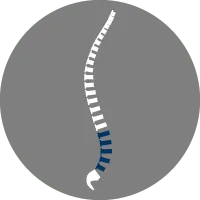 le rachis lombaire douleur rachis lombaire radio rachis lombaire anatomie rachis lombaire degeneratif rachis lombaire definition